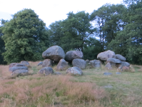 Megalithgrab im Nationalpark Drentsche Aa (Gasteren)